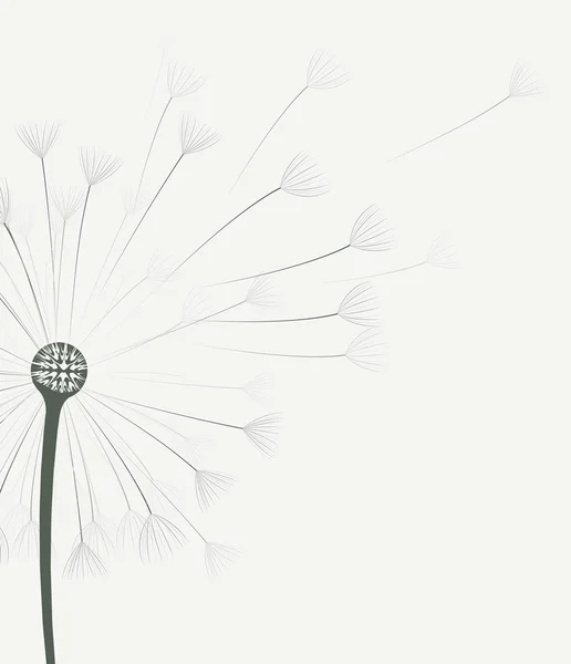 Vecteur fleur de pissenlit — Image vectorielle