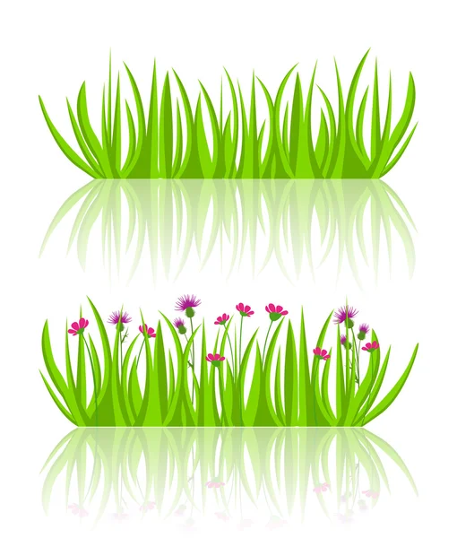 Vector illustration grass — Stock Vector