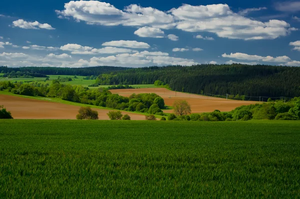 Pemandangan musim semi di Karst Moravia . — Stok Foto