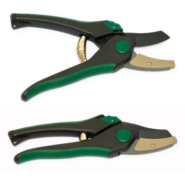 Secateurs.