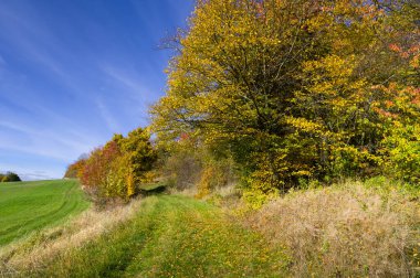 Renkli yapraklı ağaçlarla sonbahar manzarası. Güney Moravya, Çek Cumhuriyeti.