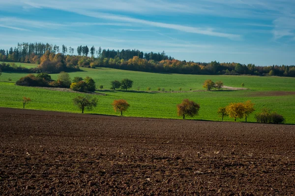 Die herbstliche Landschaft. — Stockfoto