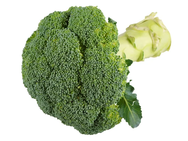 Broccoli Vegetable Isolated White Background — Stock Photo, Image