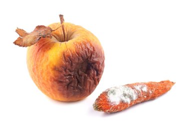 Apple rotten and moldy carrot clipart