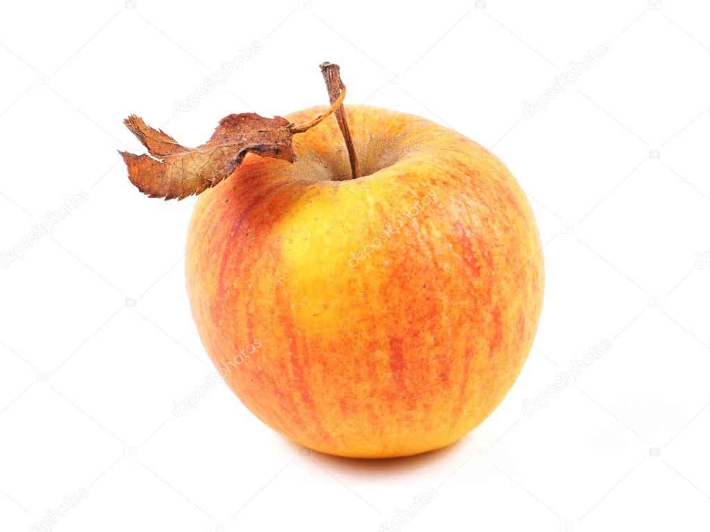 Apple, wilted, with leaves, isolated on white