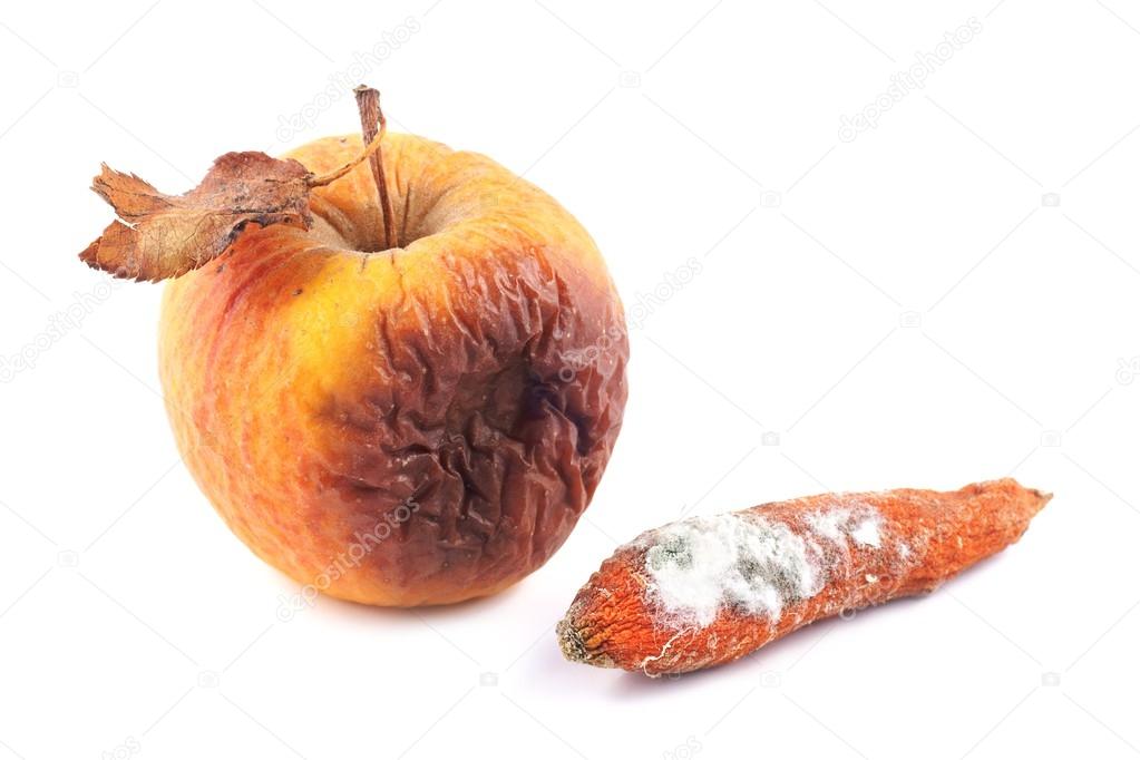 Apple rotten and moldy carrot