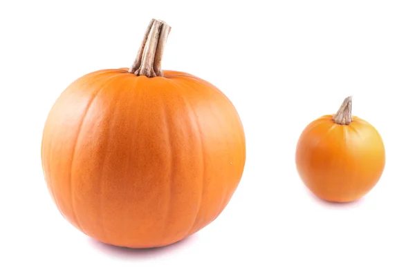 Calabaza, ovalada sobre fondo blanco —  Fotos de Stock