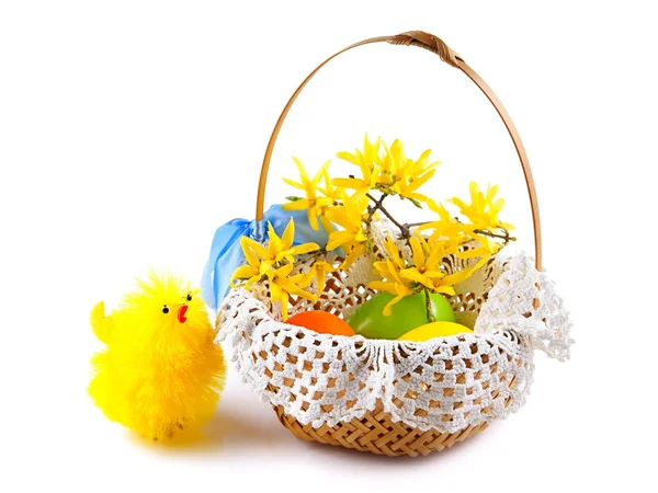 Easter chicken and easter eggs in basket on white background — Stock Photo, Image