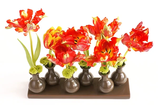 Tulipány v vázy na bílém pozadí — Stock fotografie