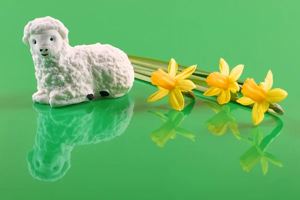 Pascua, cordero con azúcar y narcisos sobre fondo verde —  Fotos de Stock