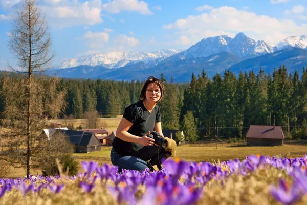 Kvinna fotograf och krokusar i våras på en berg äng i Tatrabergen, Polen — Stockfoto