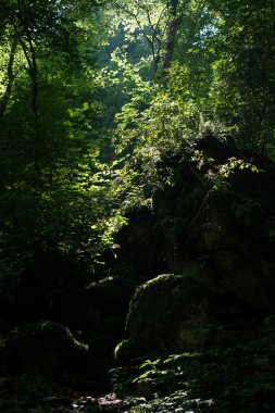 Kafkasya tabiatı görkemli dağ manzarası