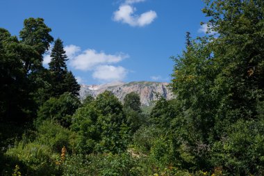 Kafkasya tabiatı görkemli dağ manzarası