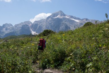 Kafkasya tabiatı görkemli dağ manzarası
