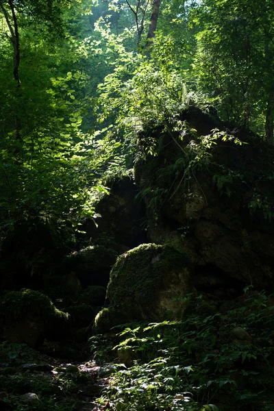 雄伟的山脉风景的高加索地区自然保护区 — 图库照片