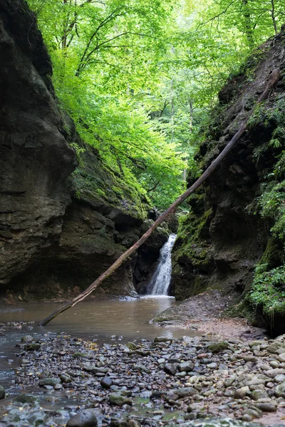 De majestueuze berglandschap van het natuurreservaat van de Kaukasus — Stockfoto