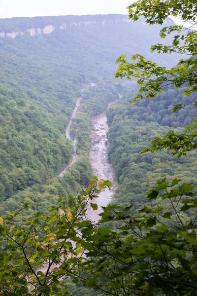 Величні гірські пейзажі природи заповідника Кавказу — стокове фото