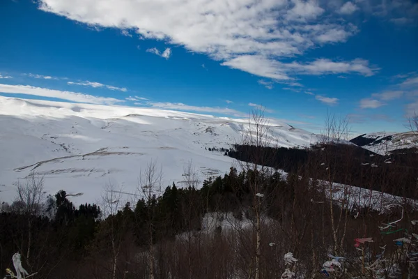 Il maestoso scenario montano della Riserva Naturale del Caucaso — Foto Stock