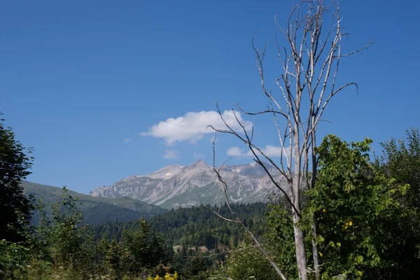 A majestosa paisagem montanhosa da Reserva Natural do Cáucaso — Fotografia de Stock