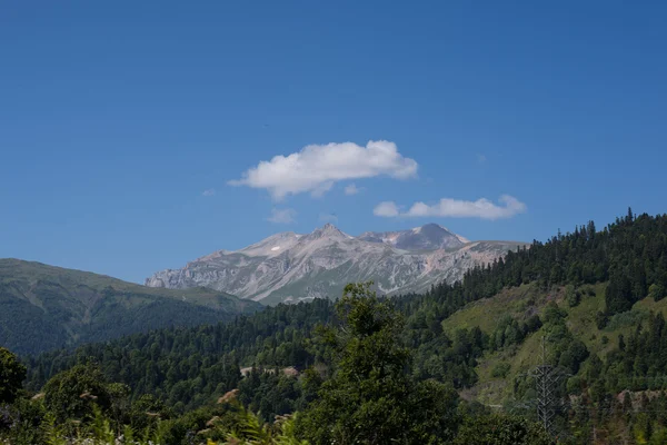 Les paysages montagneux majestueux de la réserve naturelle du Caucase — Photo