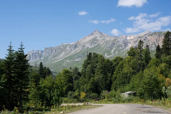 Величественный горный пейзаж Кавказского заповедника — стоковое фото