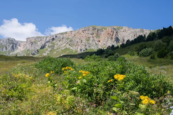 Majestatyczne krajobrazy górskie rezerwatu przyrody Kaukazu — Zdjęcie stockowe