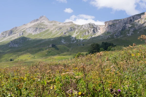 De majestueuze berglandschap van het natuurreservaat van de Kaukasus — Stockfoto