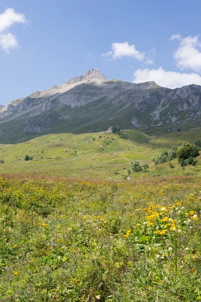 Les paysages montagneux majestueux de la réserve naturelle du Caucase — Photo