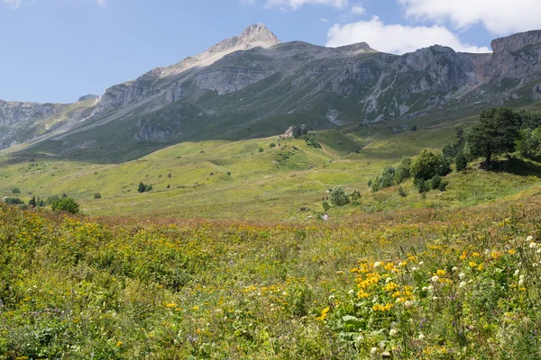 El majestuoso paisaje montañoso de la Reserva Natural del Cáucaso —  Fotos de Stock