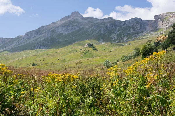 Il maestoso scenario montano della Riserva Naturale del Caucaso — Foto Stock