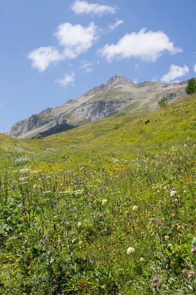 A majestosa paisagem montanhosa da Reserva Natural do Cáucaso — Fotografia de Stock