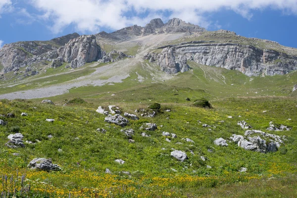 Il maestoso scenario montano della Riserva Naturale del Caucaso — Foto Stock