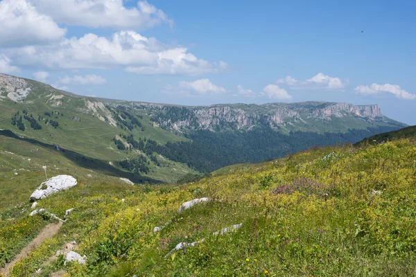 Il maestoso scenario montano della Riserva Naturale del Caucaso — Foto Stock