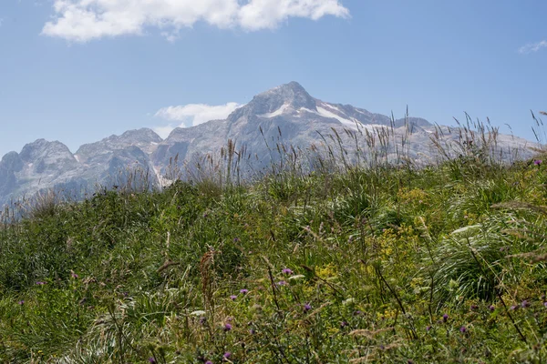 Die majestätische Berglandschaft des Kaukasus-Naturschutzgebietes — Stockfoto