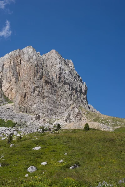 Les paysages montagneux majestueux de la réserve naturelle du Caucase — Photo