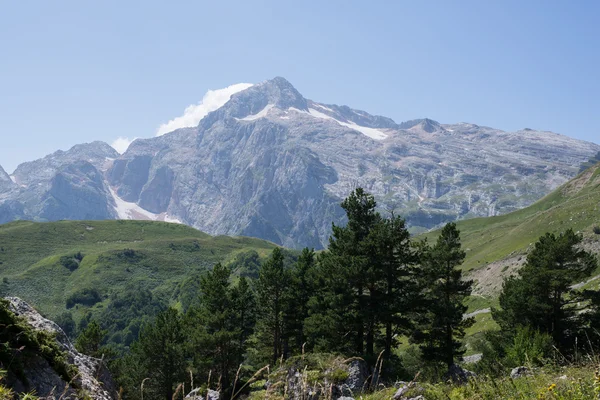 Die majestätische Berglandschaft des Kaukasus-Naturschutzgebietes — Stockfoto