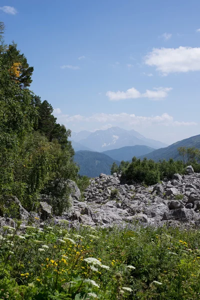 Les paysages montagneux majestueux de la réserve naturelle du Caucase — Photo