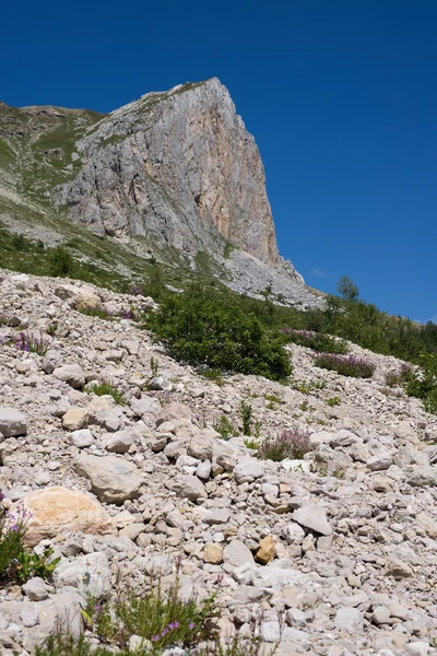 Les paysages montagneux majestueux de la réserve naturelle du Caucase — Photo