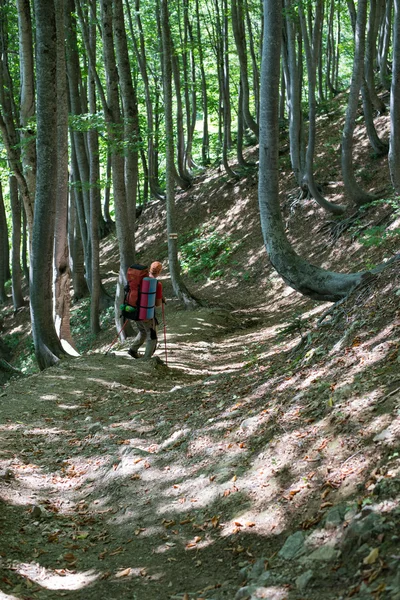 Les paysages montagneux majestueux de la réserve naturelle du Caucase — Photo