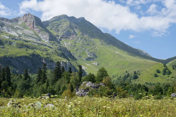 El majestuoso paisaje montañoso de la Reserva Natural del Cáucaso — Foto de Stock