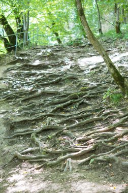 Kafkasya tabiatı görkemli dağ manzarası