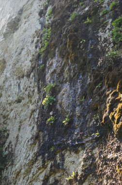 Kafkasya tabiatı görkemli dağ manzarası