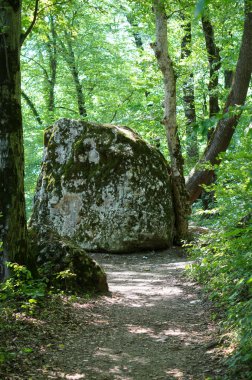 Kafkasya tabiatı görkemli dağ manzarası