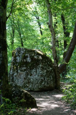 Kafkasya tabiatı görkemli dağ manzarası
