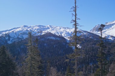 Kafkasya tabiatı görkemli dağ manzarası