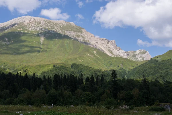 Les paysages montagneux majestueux de la réserve naturelle du Caucase — Photo