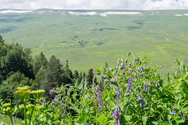 A majestosa paisagem montanhosa da Reserva Natural do Cáucaso — Fotografia de Stock