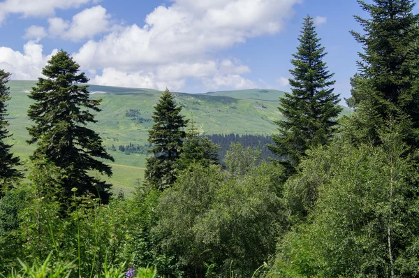 Величественный горный пейзаж Кавказского заповедника — стоковое фото