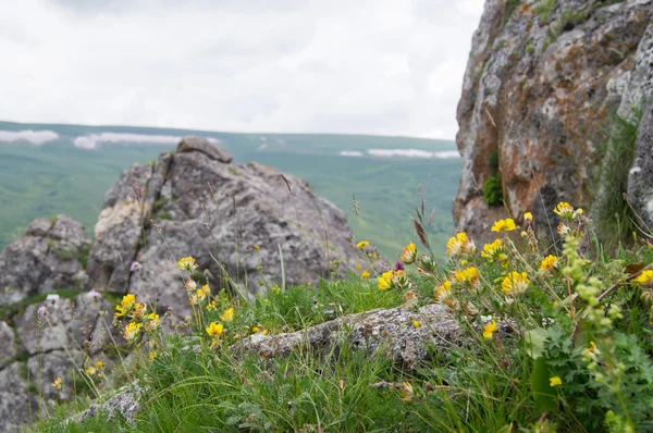 Il maestoso scenario montano della Riserva Naturale del Caucaso — Foto Stock