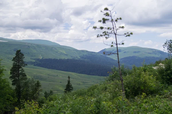 Det majestätiska bergslandskapet i naturreservatet Kaukasus — Stockfoto